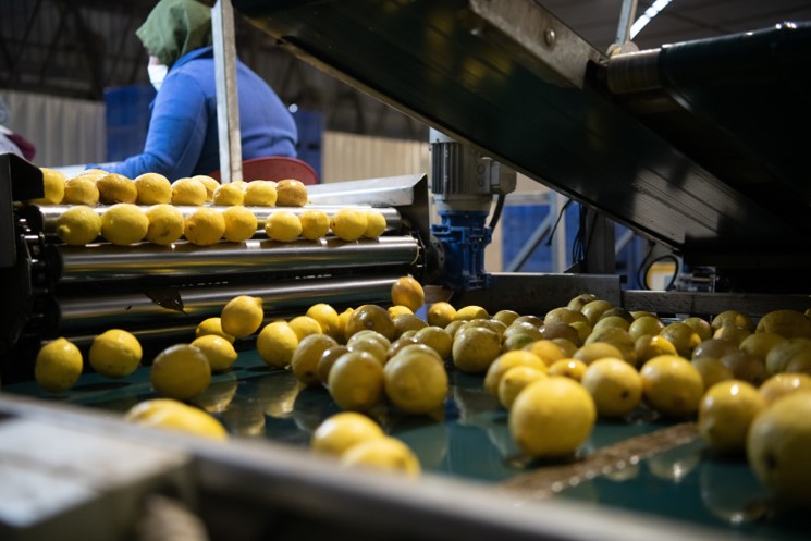 הדרים פנימי